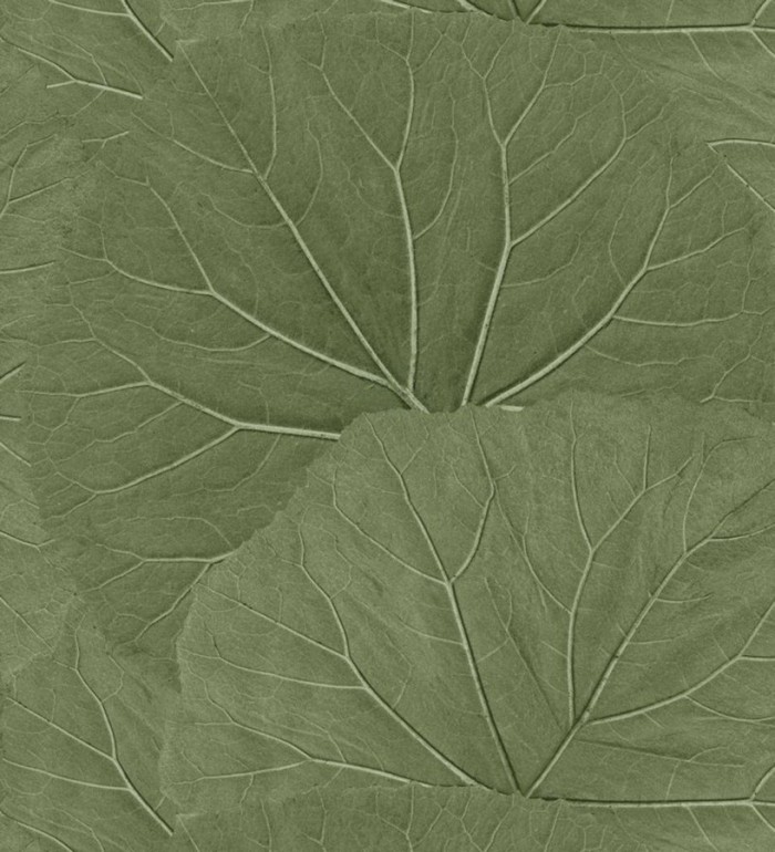 Papel pintado hojas grandes de la jungla - Madagascar Nature 679038