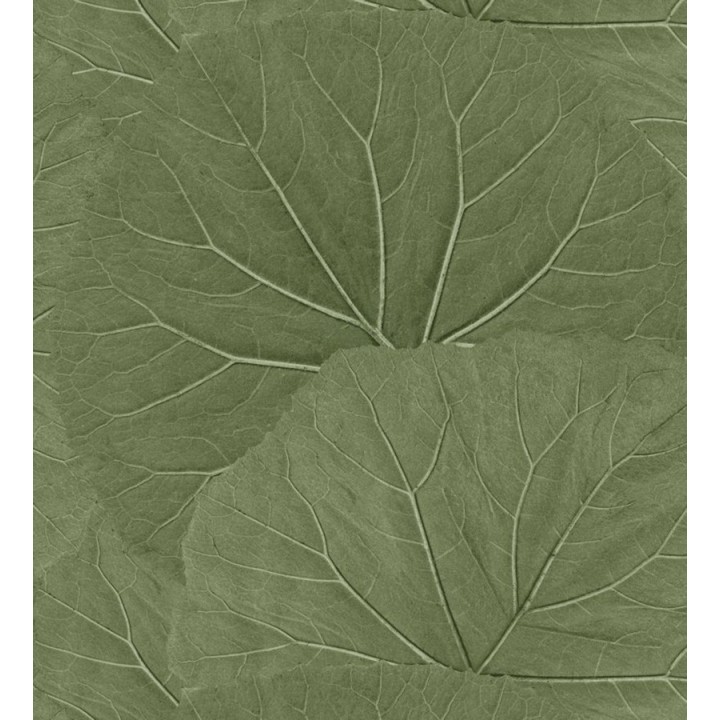 Papel pintado hojas grandes de la jungla - Madagascar Nature 679038