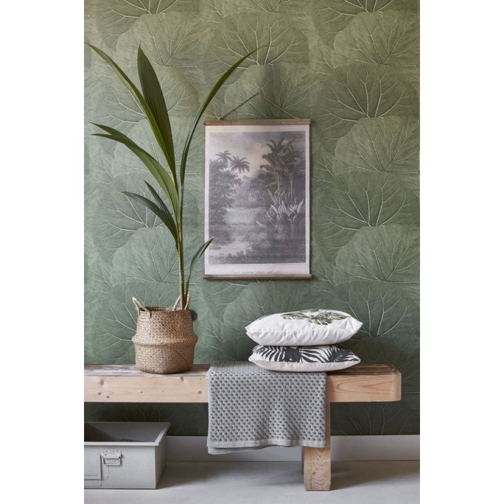 Papel pintado hojas grandes de la jungla - Madagascar Nature 679038