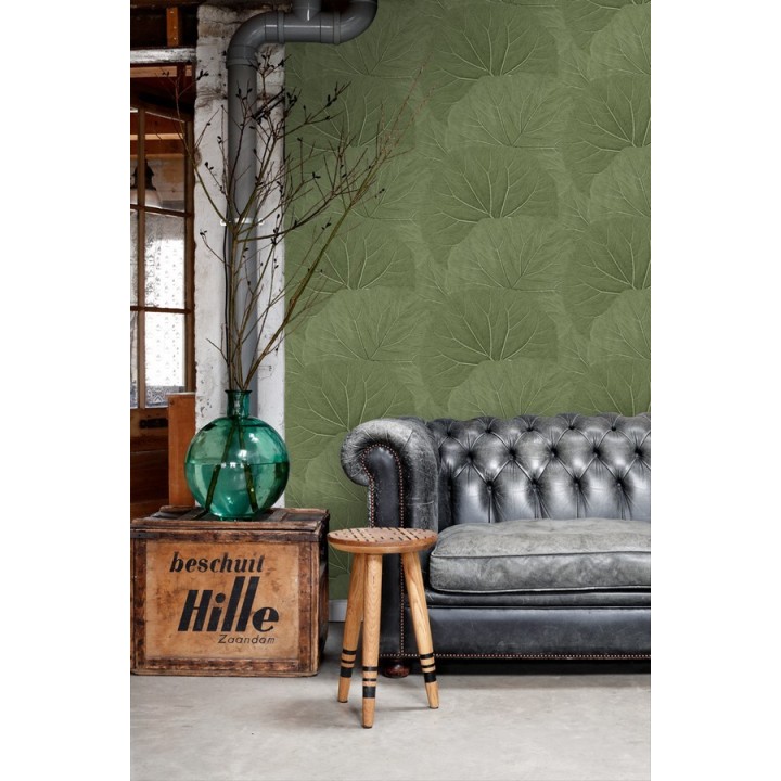 Papel pintado hojas grandes de la jungla - Madagascar Nature 679038