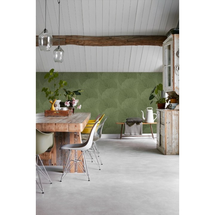 Papel pintado hojas grandes de la jungla - Madagascar Nature 679038