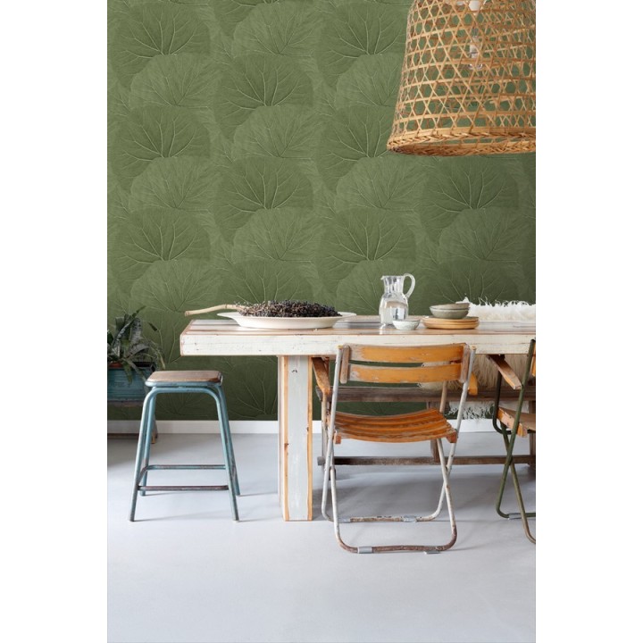 Papel pintado hojas grandes de la jungla - Madagascar Nature 679038