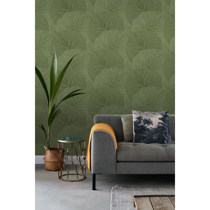 Papel pintado hojas grandes de la jungla - Madagascar Nature 679038