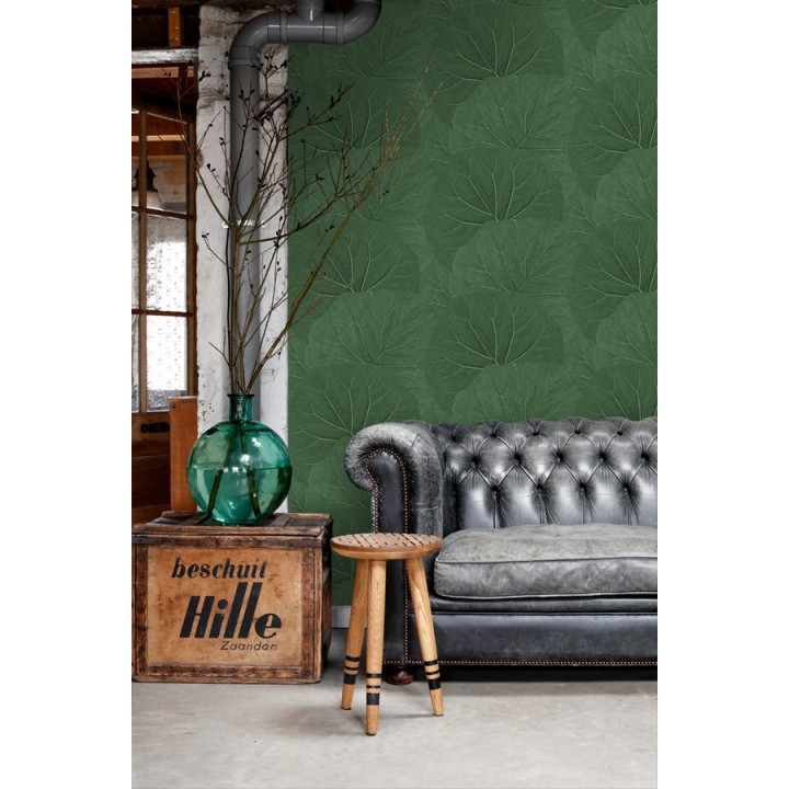 Papel pintado hojas grandes de la jungla - Madagascar Nature 679039