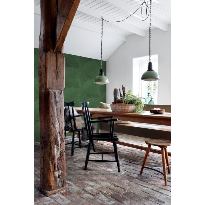 Papel pintado hojas grandes de la jungla - Madagascar Nature 679039