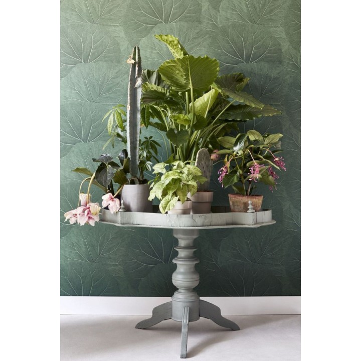 Papel pintado hojas grandes de la jungla - Madagascar Nature 679039