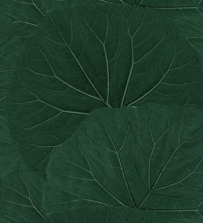 Papel pintado hojas grandes de la jungla - Madagascar Nature 679040