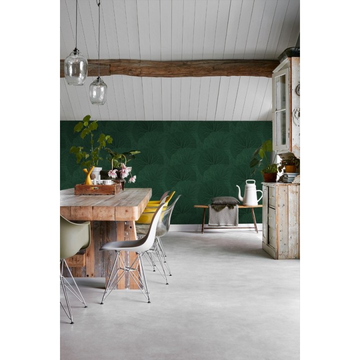 Papel pintado hojas grandes de la jungla - Madagascar Nature 679040