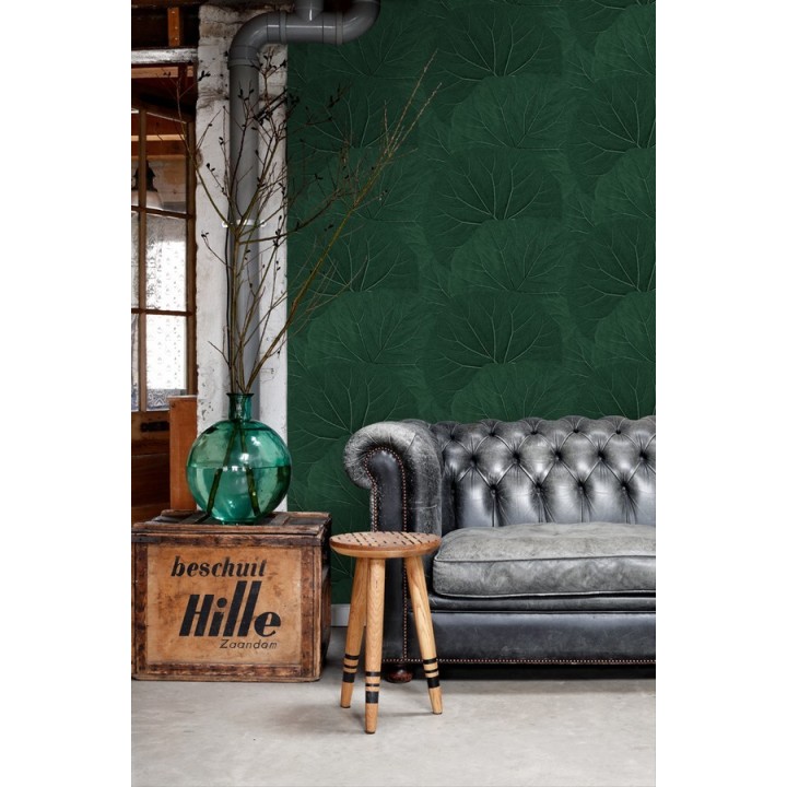 Papel pintado hojas grandes de la jungla - Madagascar Nature 679040