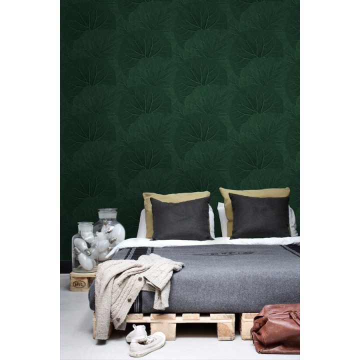 Papel pintado hojas grandes de la jungla - Madagascar Nature 679040