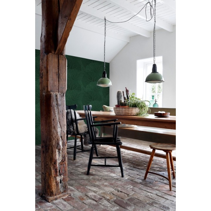 Papel pintado hojas grandes de la jungla - Madagascar Nature 679040