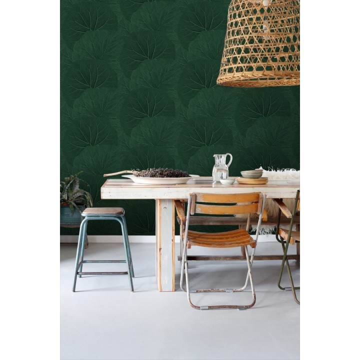 Papel pintado hojas grandes de la jungla - Madagascar Nature 679040