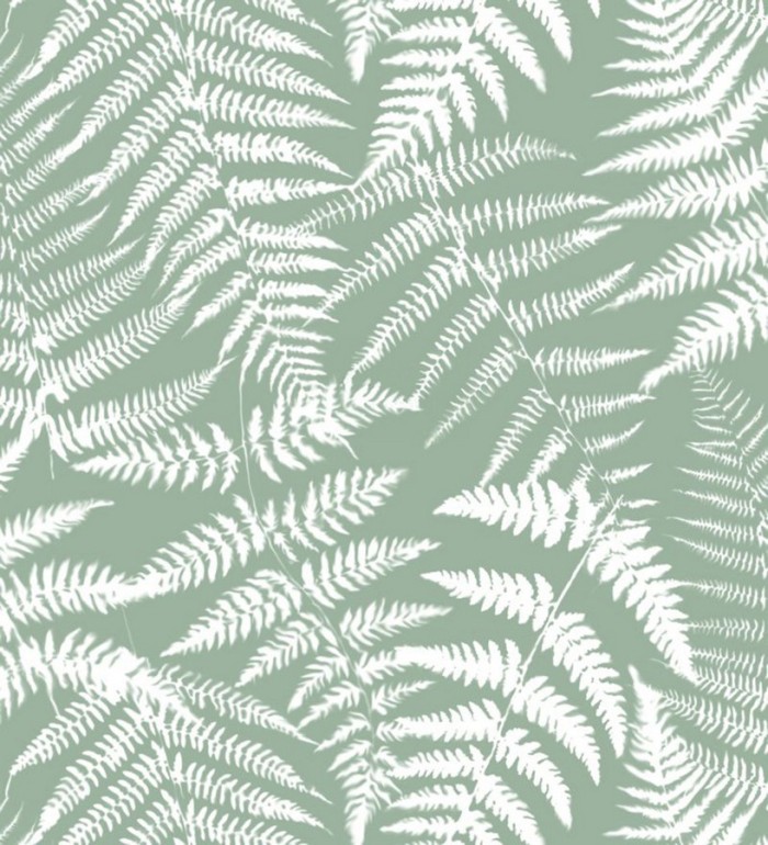 Papel pintado hojas de bosque tropical - Boreal Forest 679041