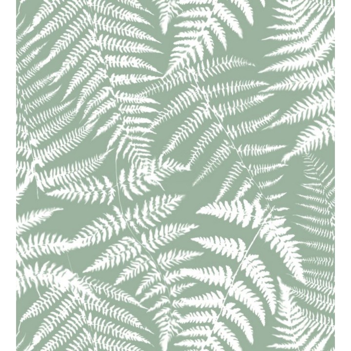 Papel pintado hojas de bosque tropical - Boreal Forest 679041