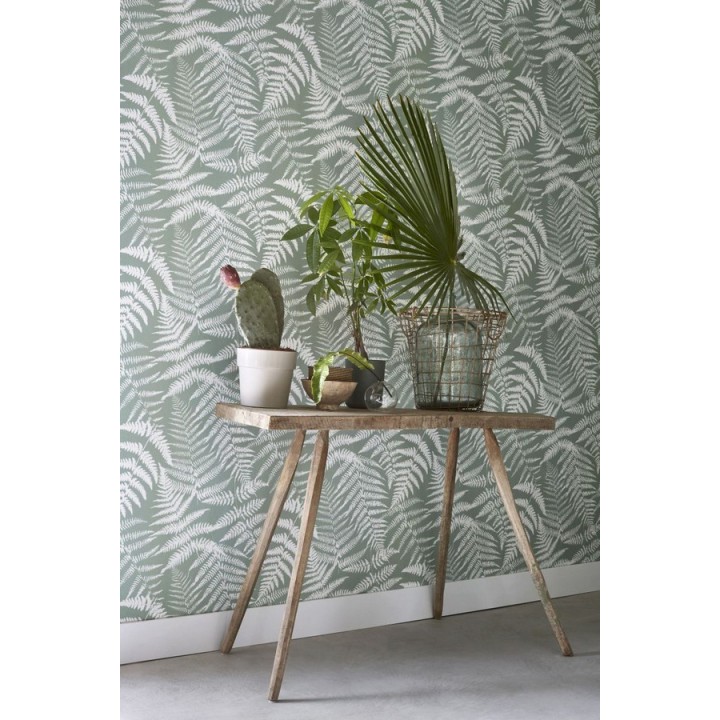 Papel pintado hojas de bosque tropical - Boreal Forest 679041
