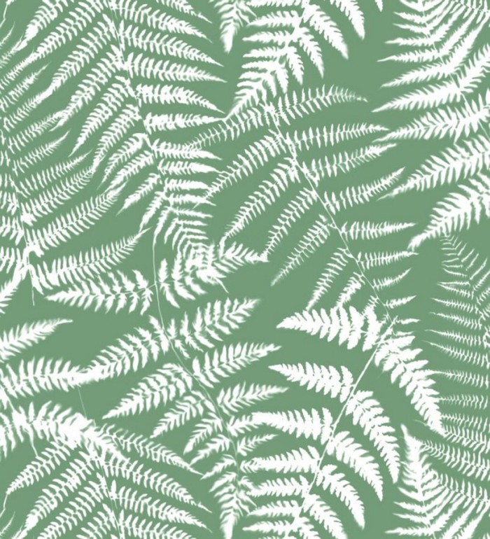 Papel pintado hojas de bosque tropical - Boreal Forest 679042