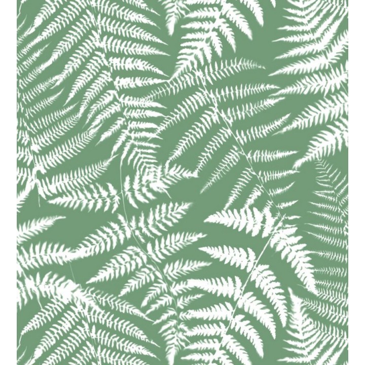 Papel pintado hojas de bosque tropical - Boreal Forest 679042