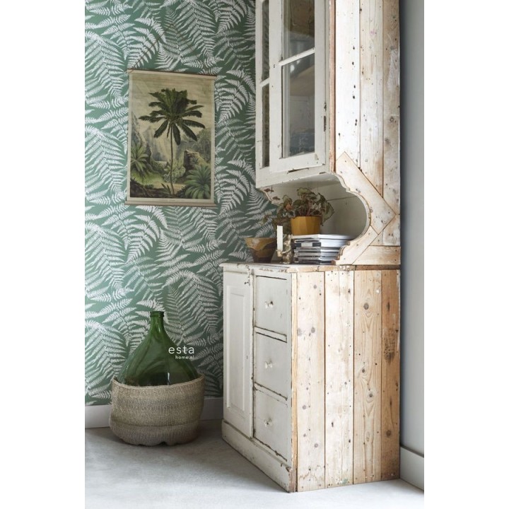 Papel pintado hojas de bosque tropical - Boreal Forest 679042