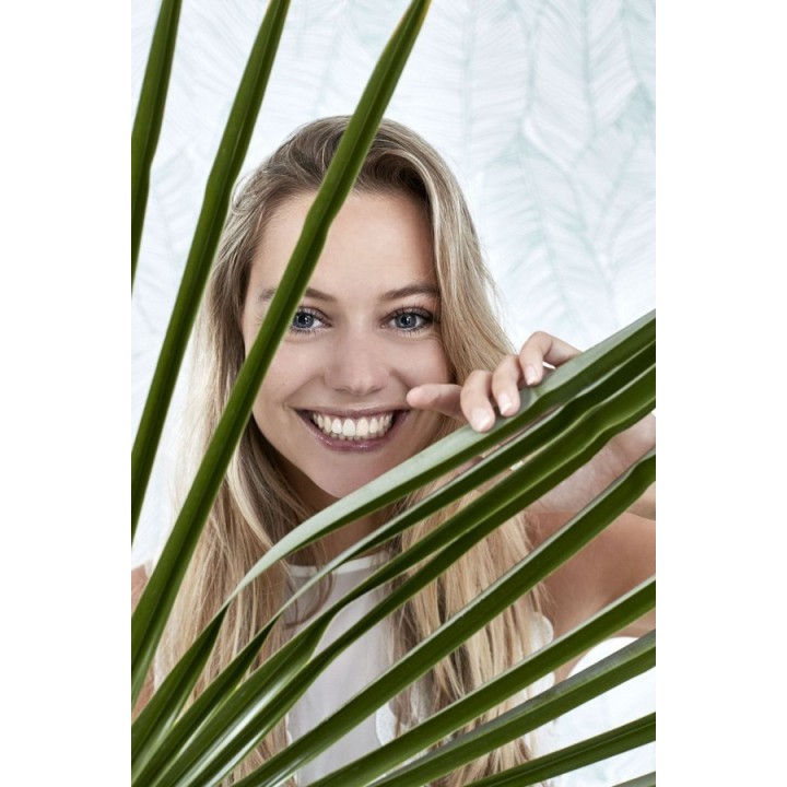 Papel pintado hojas modernas estilo tropical - Manila Tropical 679053