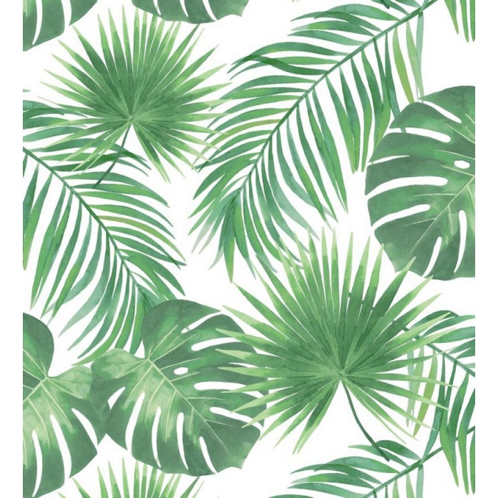 Papel pintado hojas tropicales - Bahamas Island 679056