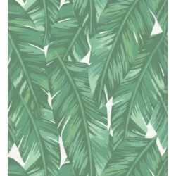 Papel pintado Summer in Beirut 679057