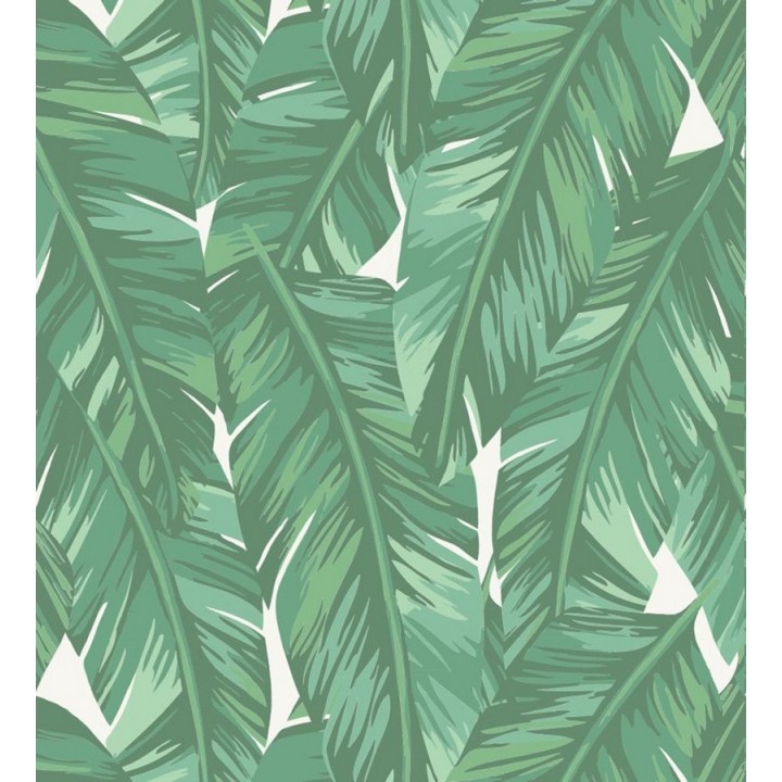 Papel pintado hojas de palmeras tropicales - Summer in Beirut 679057