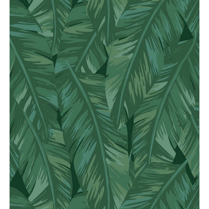 Papel pintado hojas de palmeras tropicales - Summer in Beirut 679059