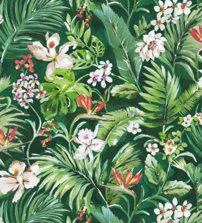 Papel pintado bosque tropical - Blooming Tropical 679082