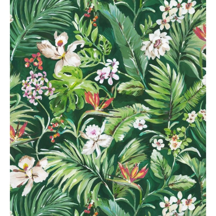 Papel pintado bosque tropical - Blooming Tropical 679082