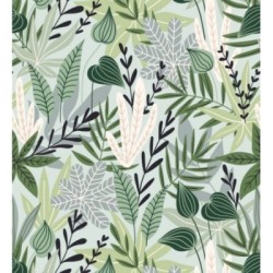 Zambia Gardens 679083