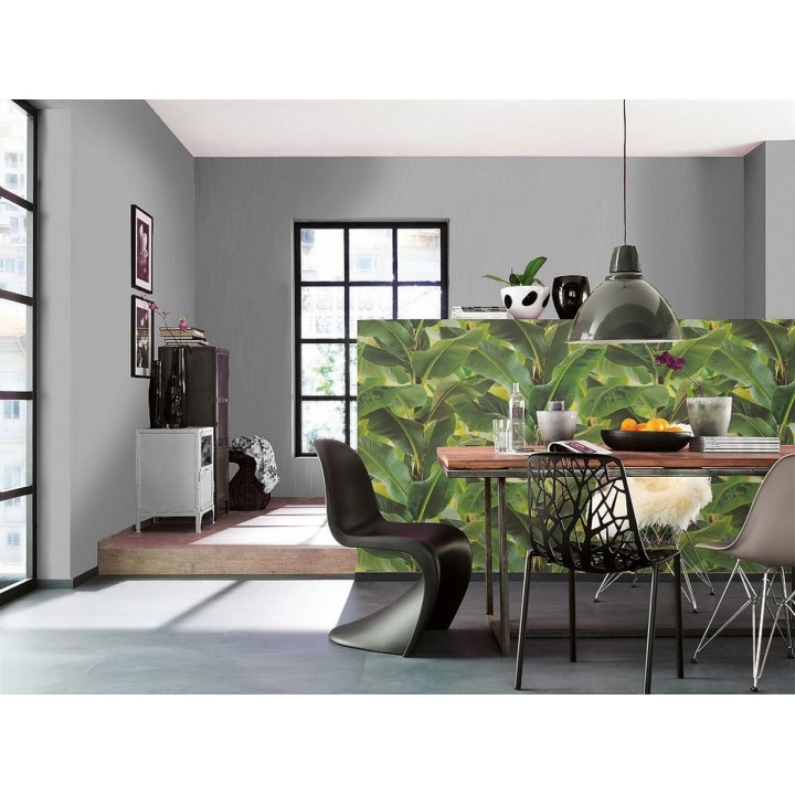 Papel pintado tropical planta de hojas grandes - Attalea 6716