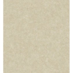 Papel pintado Stuart Hall 679314