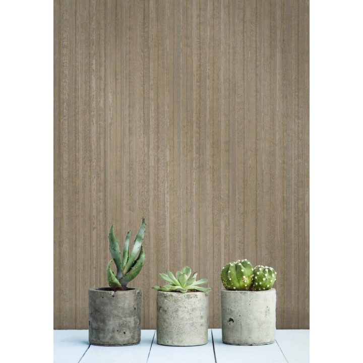 Papel pintado Corsini 679345