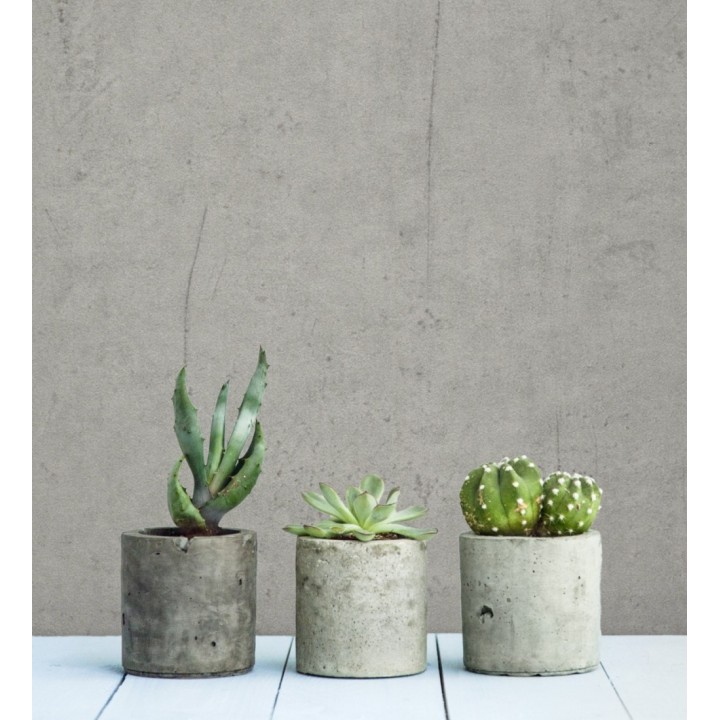 Papel pintado imitando hormigón gris - Arrue 6907