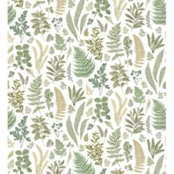 Madison Valley 679443