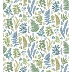 Madison Valley 679444