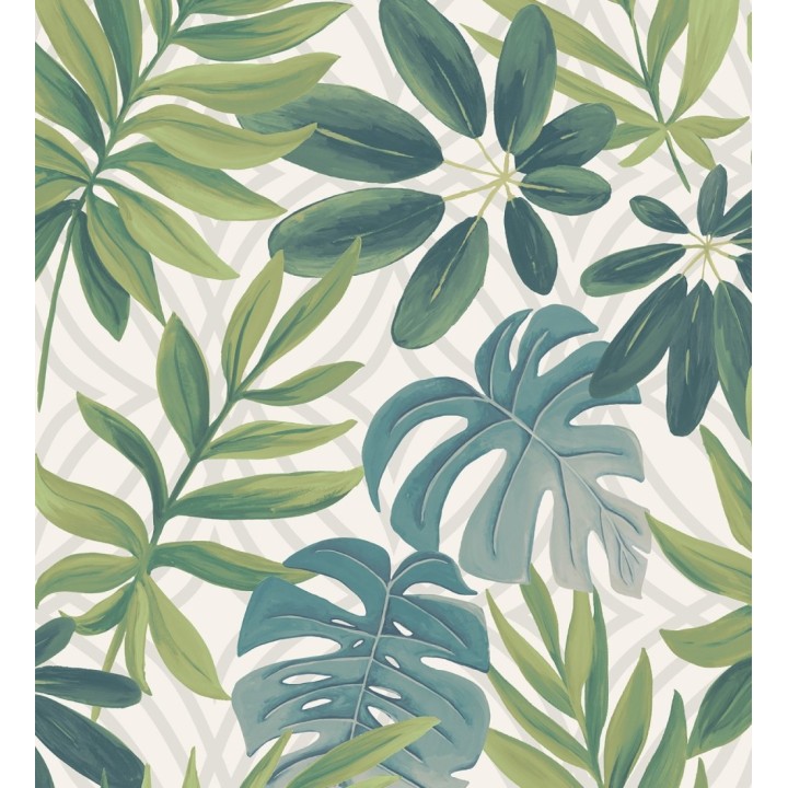 Papel pintado hojas grandes de monstera verde tropical - Palm Springs 679451