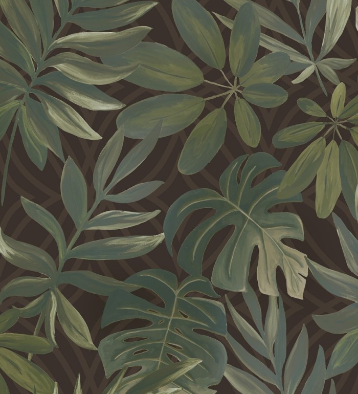 Papel pintado hojas grandes de monstera verde y marrón tropical - Palm Springs 679453