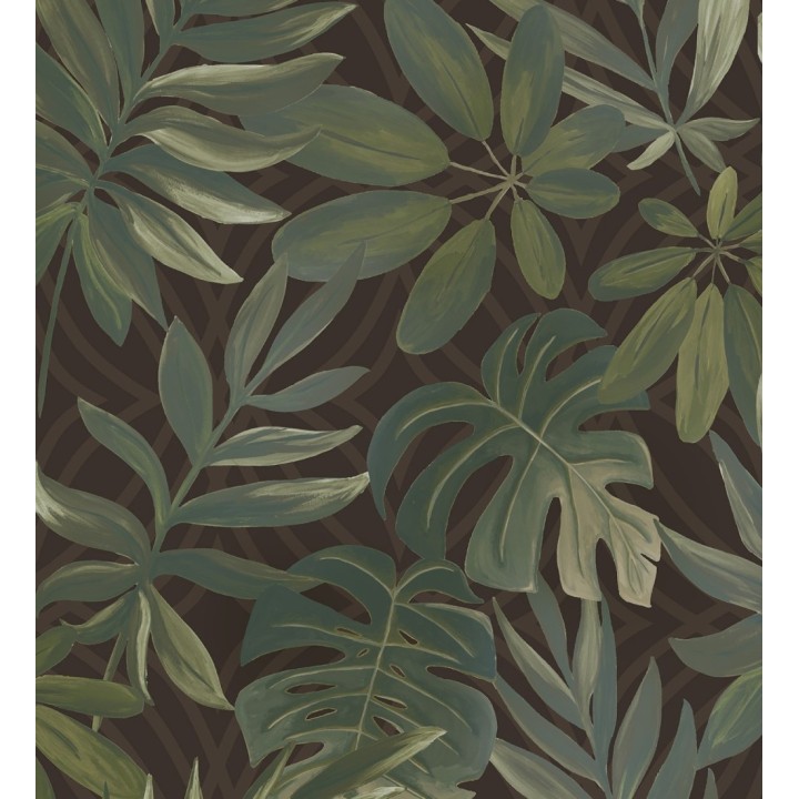 Papel pintado hojas grandes de monstera verde y marrón tropical - Palm Springs 679453
