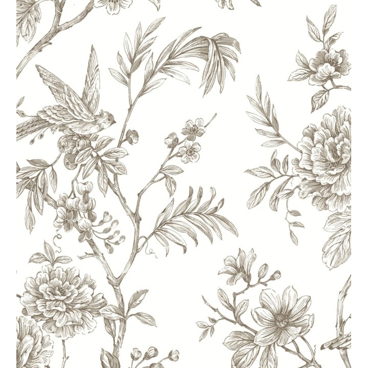 Papel pintado pájaros y hojas dibujado a carboncillo - La Bohème 679487