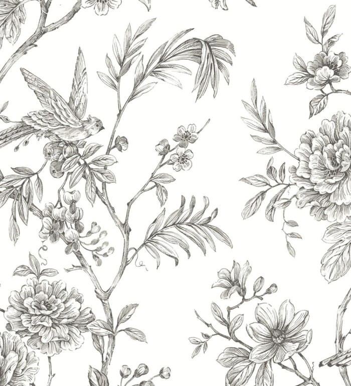 Papel pintado pájaros y hojas dibujado a carboncillo - La Bohème 679488