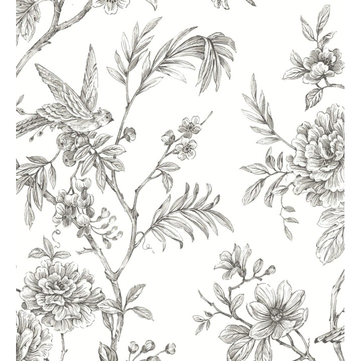 Papel pintado pájaros y hojas dibujado a carboncillo - La Bohème 679488