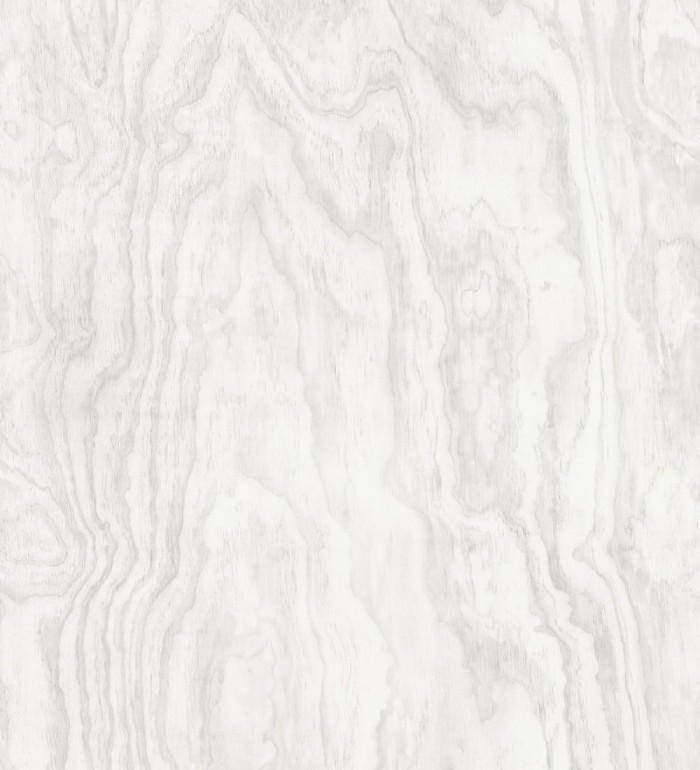 Papel pintado vetas de madera blanca - Country Wood 679619