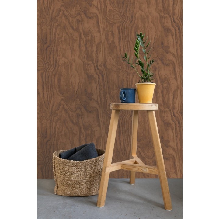 Papel pintado vetas de madera castaño claro - Country Wood 679620