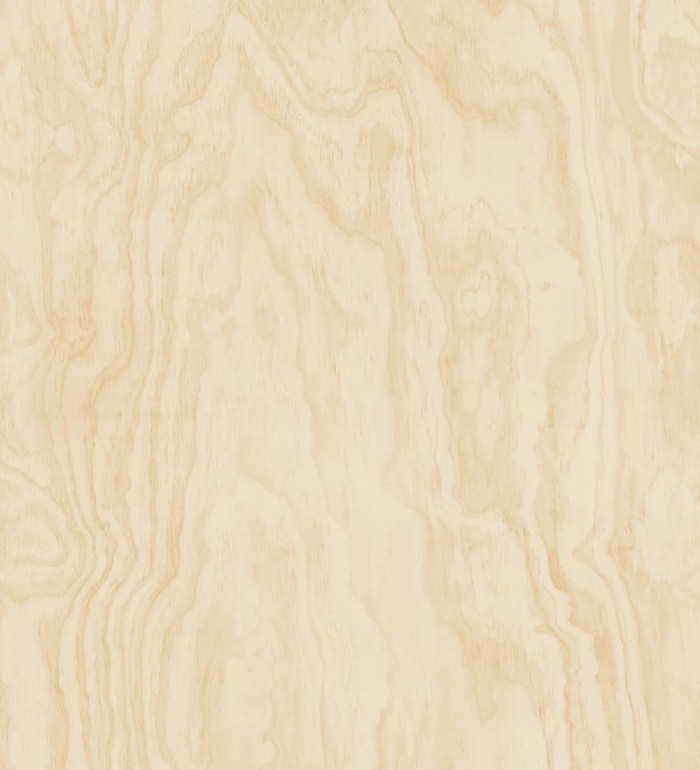 Papel pintado vetas de madera pino - Country Wood 679622