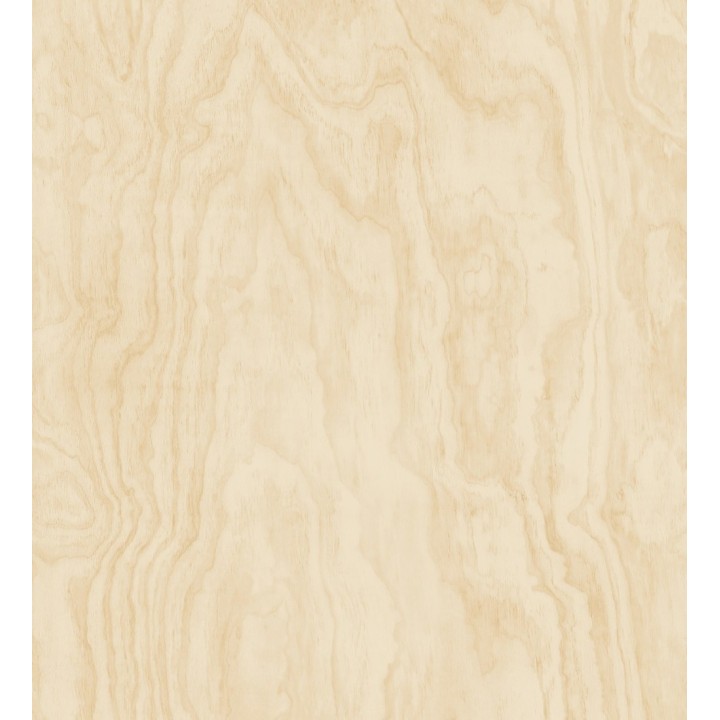 Papel pintado vetas de madera pino - Country Wood 679622