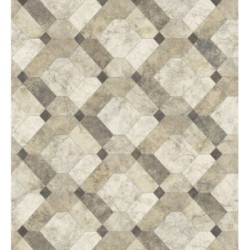 Papel pintado Tarsis 679636