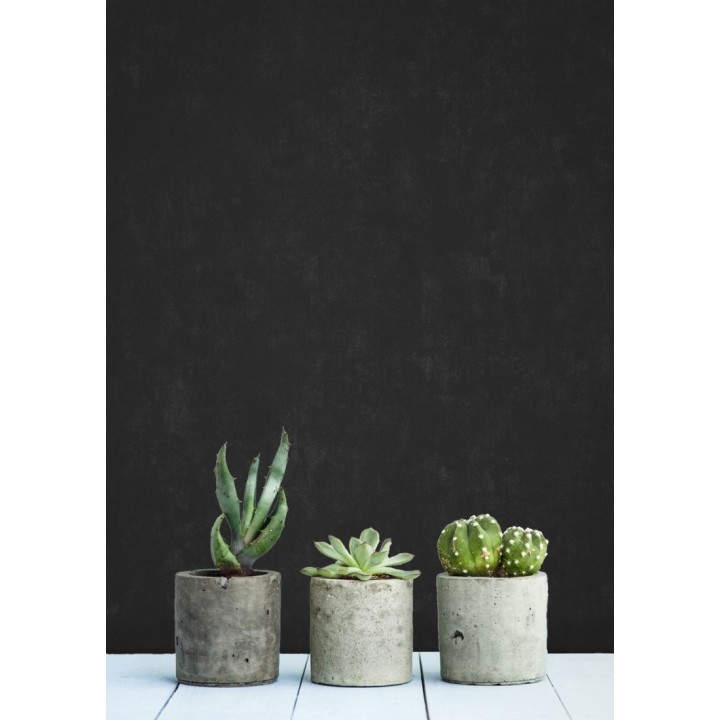 Papel pintado pizarra natural para escribir encima con tizas - Blackboard 679647