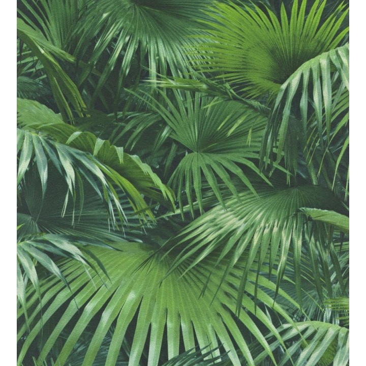 Papel pintado hojas de palmera de interior estilo tropical - Managua 8805