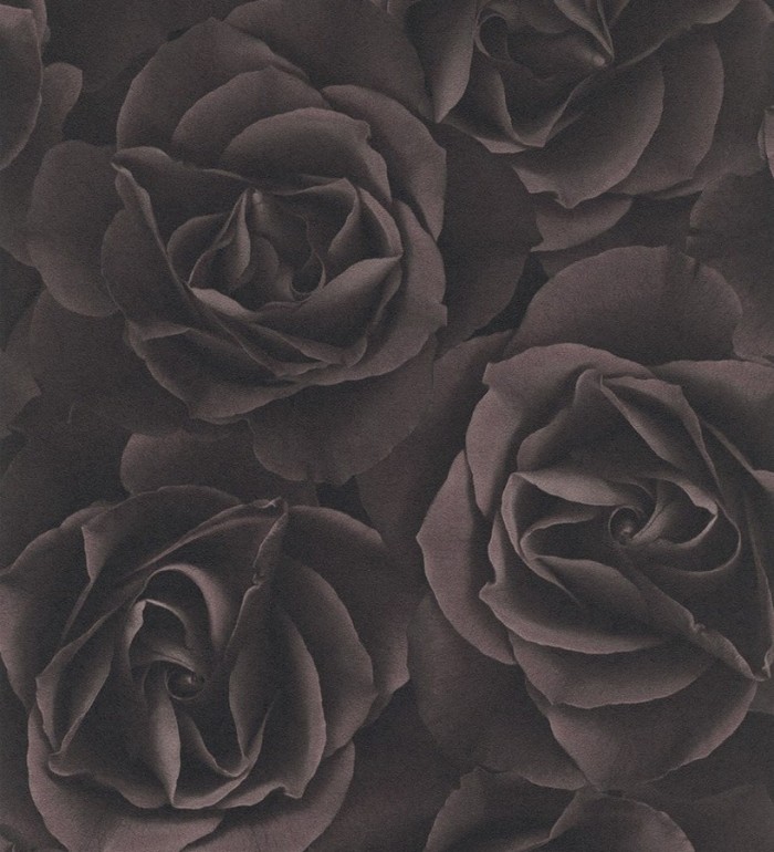 Papel pintado rosas grandes modernas - Cídipe 8812